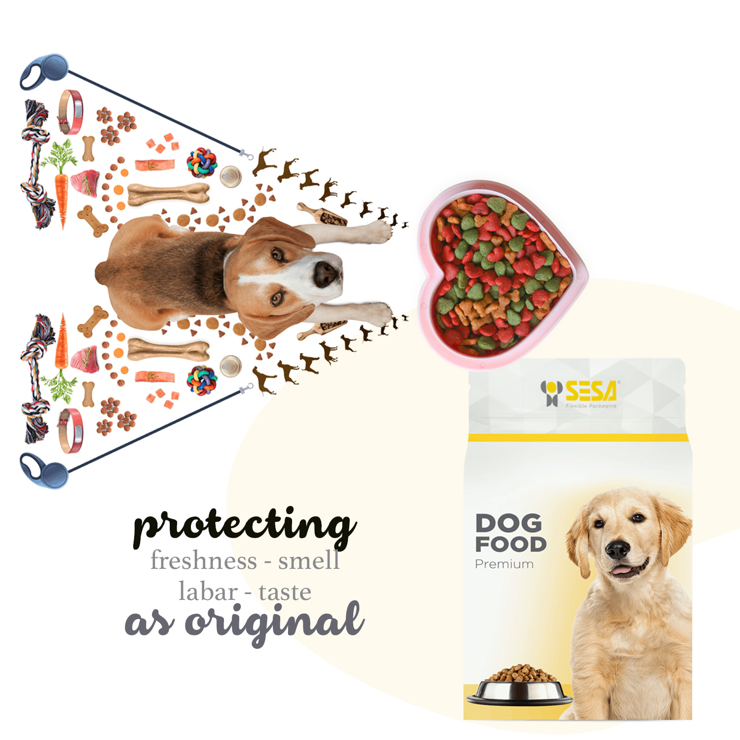 lorem ipsum dolor sit